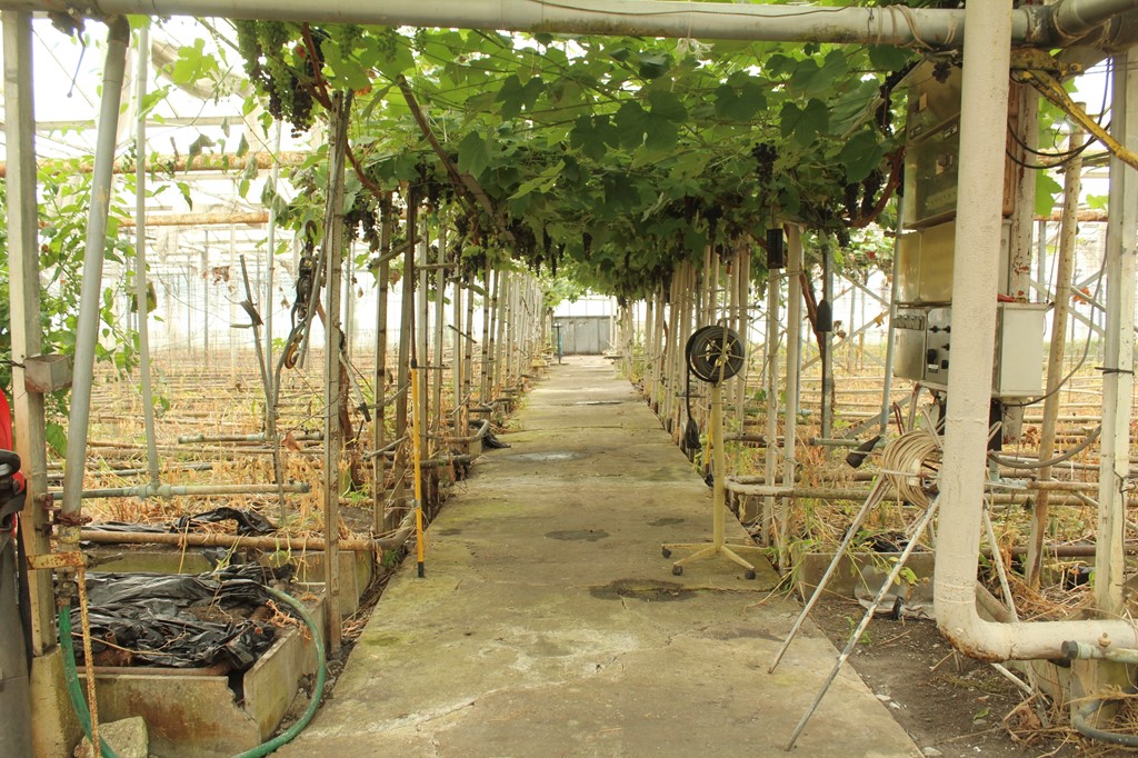 Kas Sappemeer foto 18.JPG